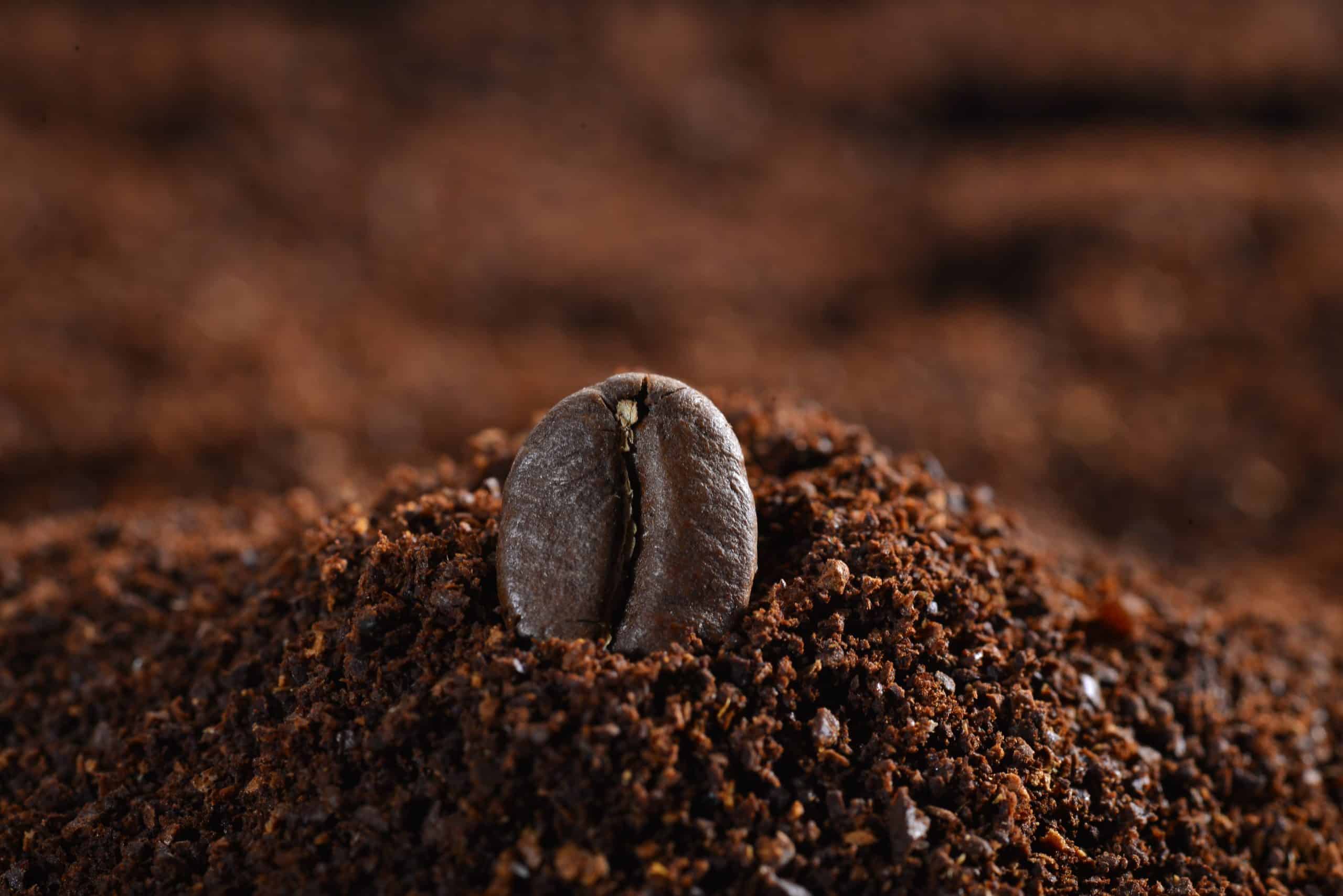 coffee grounds as organic compost for nitrogen rich soil