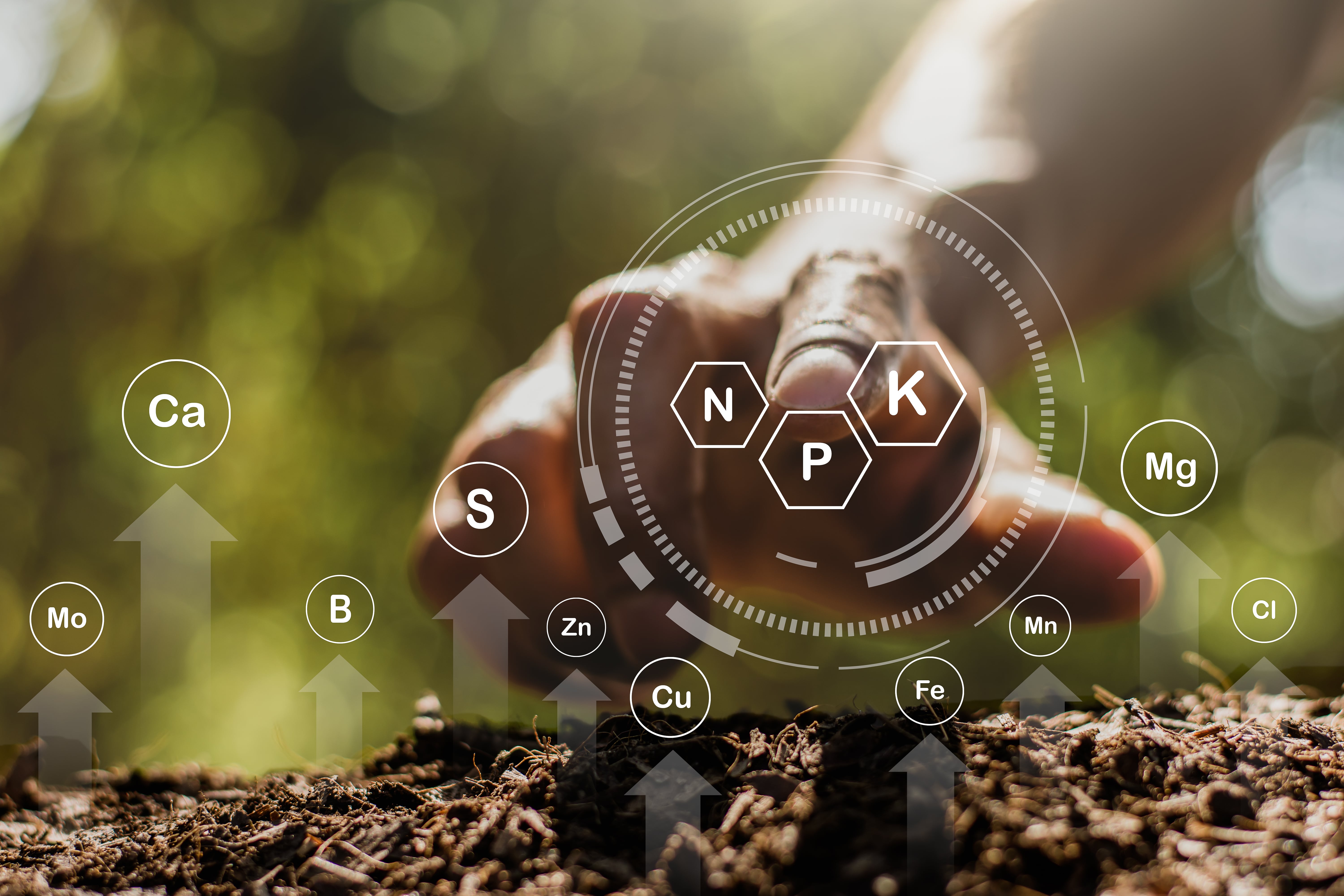What Does NPK Mean for Fertilizer & Manure? The House Of Terra